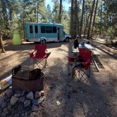 Review photo of Timber Camp Recreation Area and Group Campgrounds by Connor N., December 23, 2021