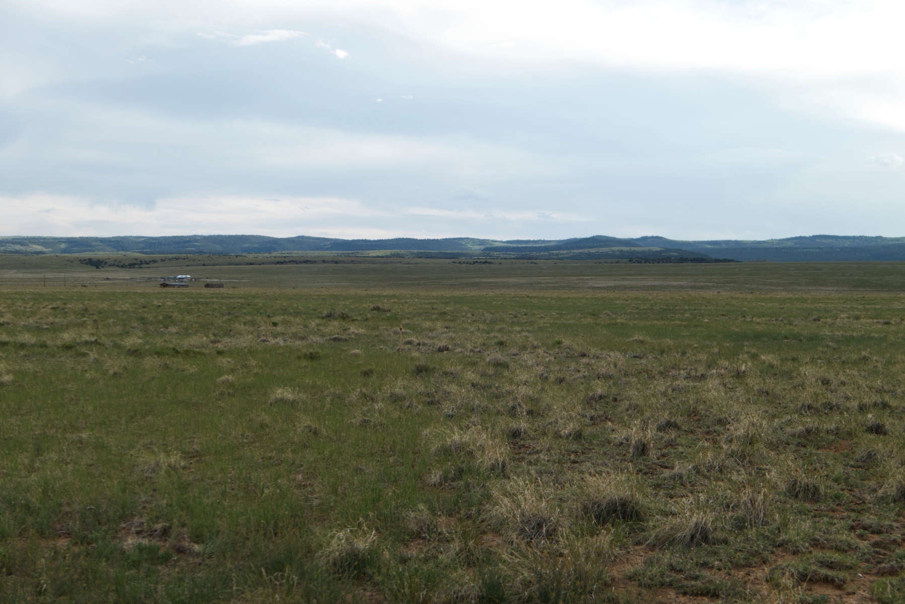 Camper submitted image from Camp Capulin - 1