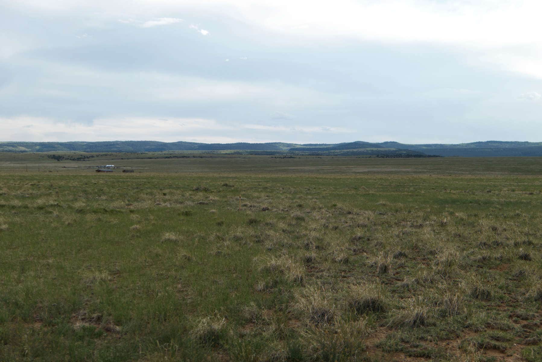 Camper submitted image from Camp Capulin - 1