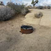 Review photo of Jumbo Rocks Campground — Joshua Tree National Park by Lily K., December 24, 2021