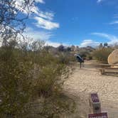 Review photo of Jumbo Rocks Campground — Joshua Tree National Park by Lily K., December 24, 2021