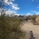 Review photo of Jumbo Rocks Campground — Joshua Tree National Park by Lily K., December 24, 2021