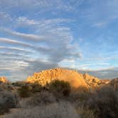 Review photo of Jumbo Rocks Campground — Joshua Tree National Park by Lily K., December 24, 2021