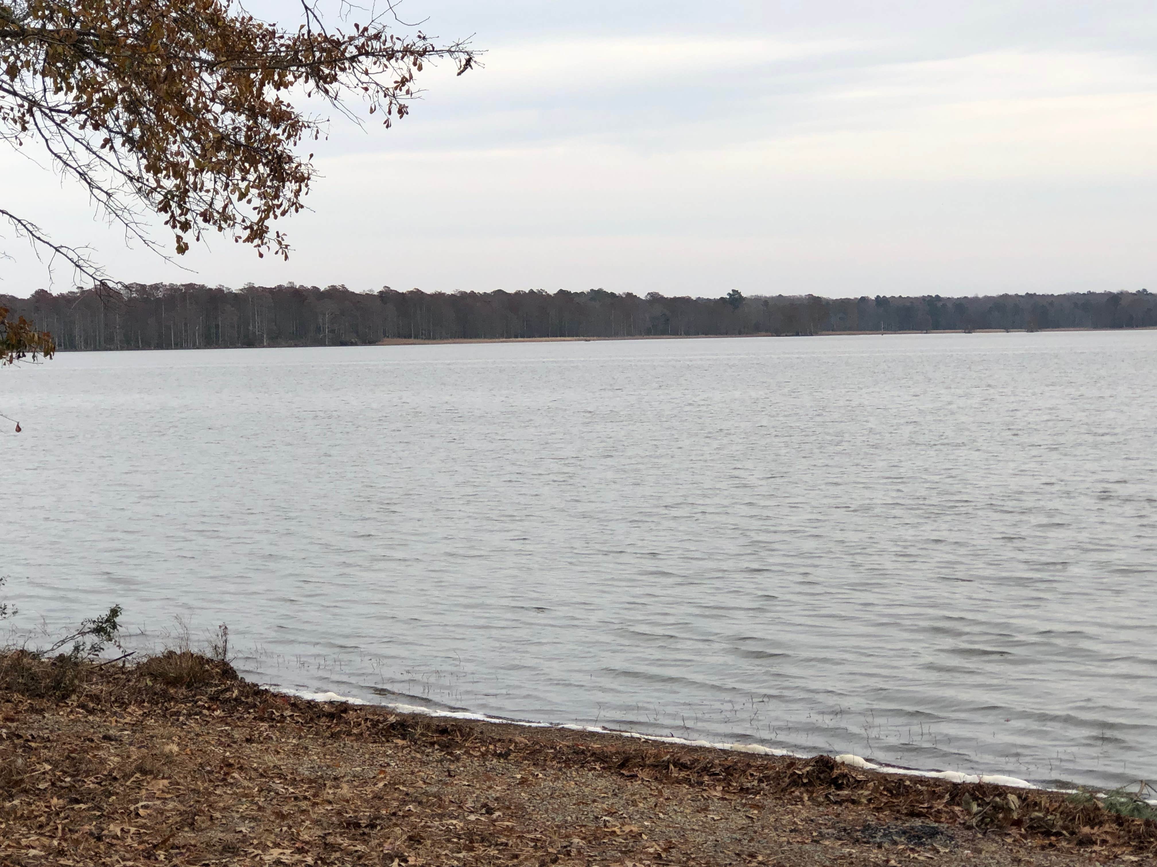 N I.'s photo of a dispersed camping area at Eagle Nest Lookout near Lanexa, VA