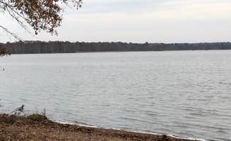 N I.'s photo of a dispersed camping area at Eagle Nest Lookout near Chester, VA