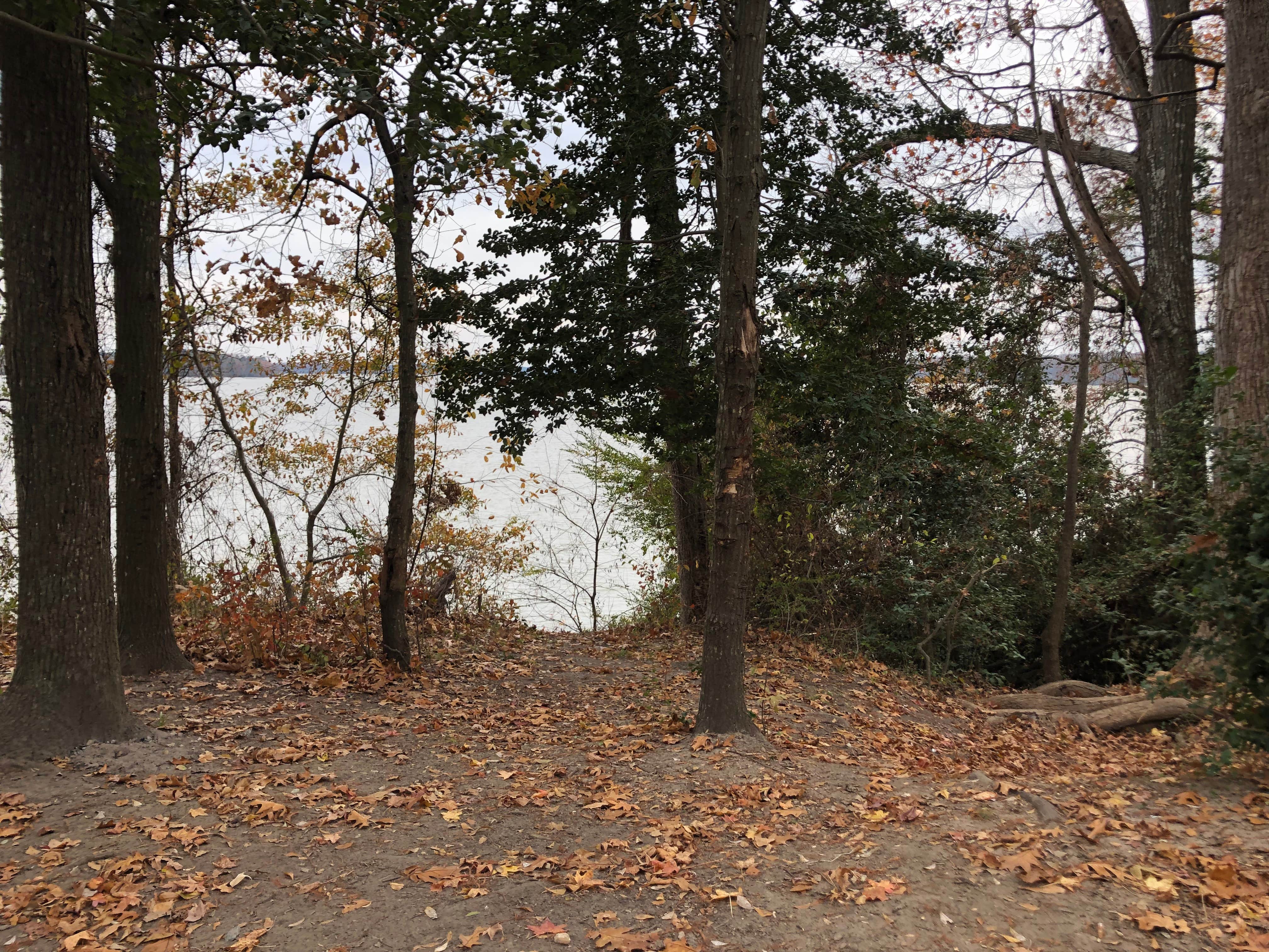 Camper-submitted photo at Eagle Nest Lookout near Jamestown, VA