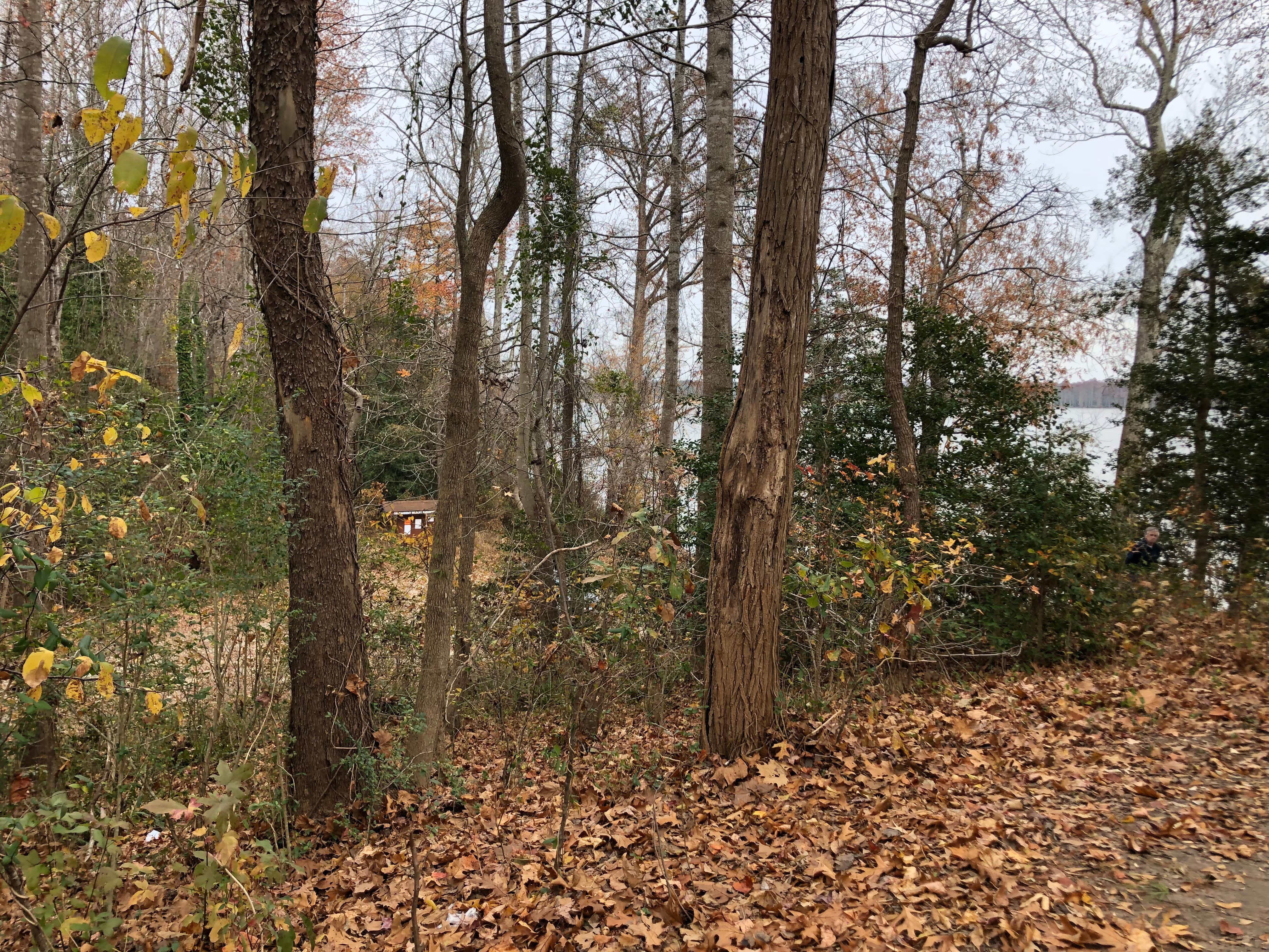 Camper-submitted photo at Eagle Nest Lookout near Jamestown, VA