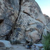 Review photo of Ryan Campground — Joshua Tree National Park by Ryan W., December 24, 2021