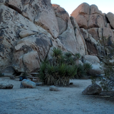 Review photo of Ryan Campground — Joshua Tree National Park by Ryan W., December 24, 2021
