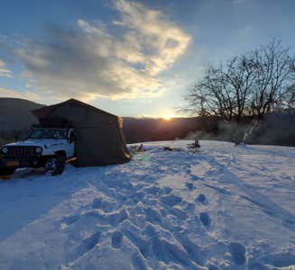Camper-submitted photo from Green Mountain National Forest FR207