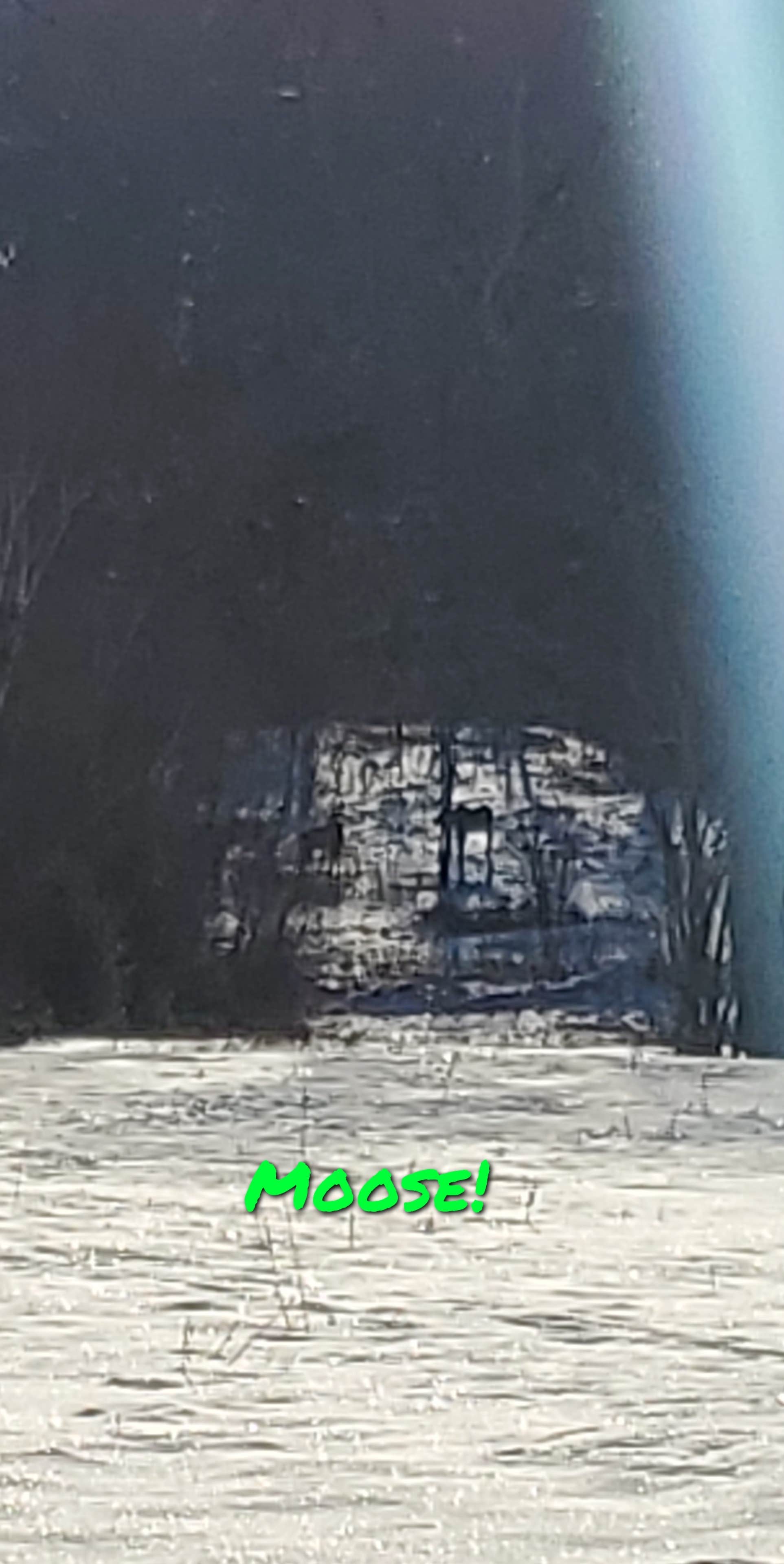 Green Mountain National Forest FR207