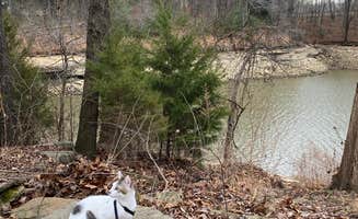 Lindsey S.'s photo of camping with pets at Nolin Lake State Park Campground near Hartford, KY