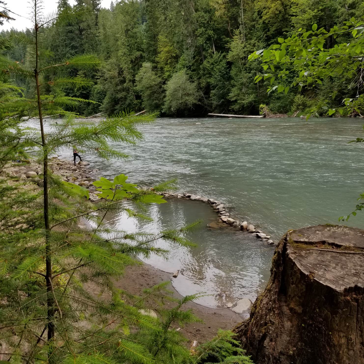 Iron Creek Campground Randle, WA