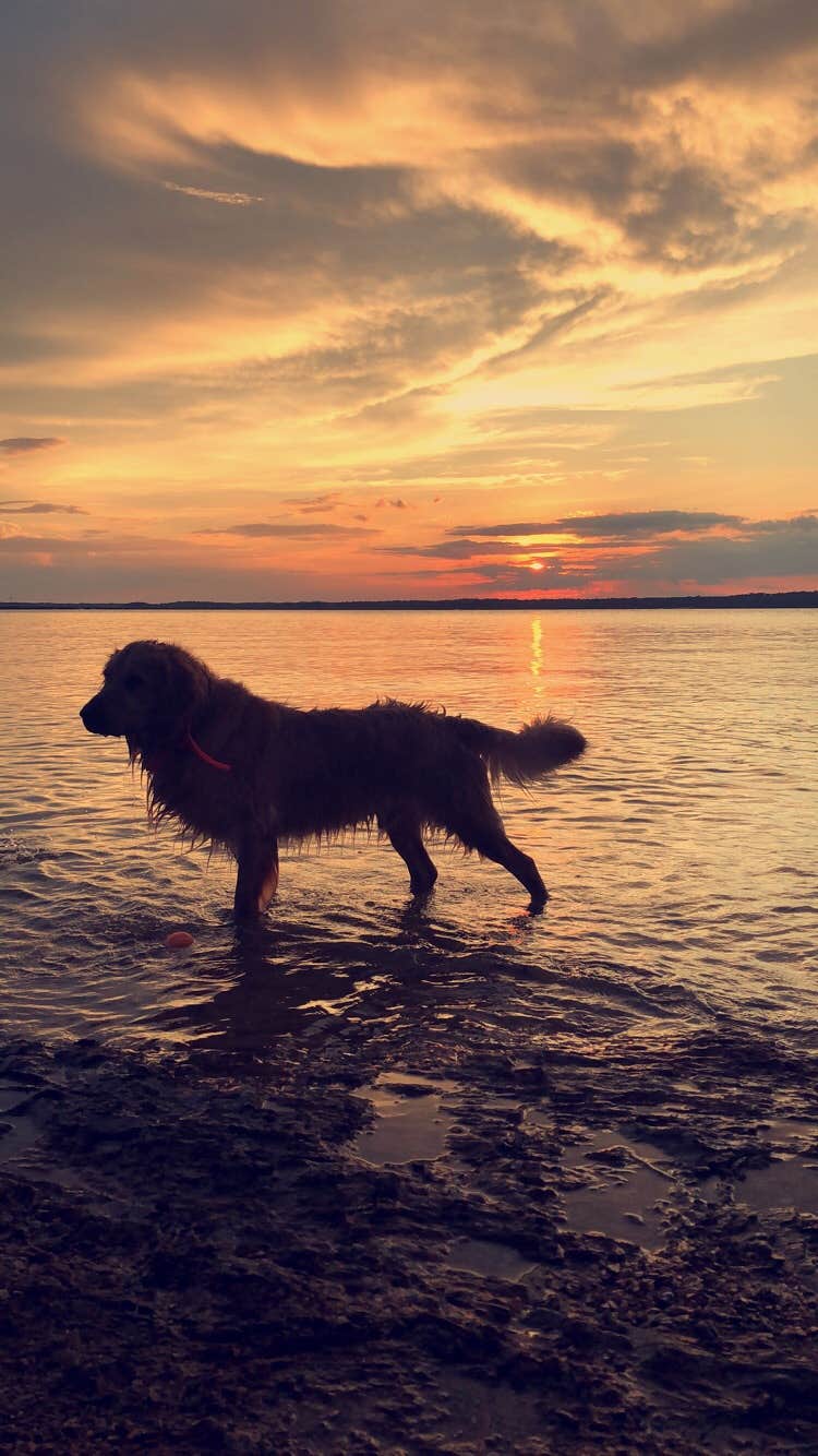 Camper-submitted photo at Pointes West Army Resort near Evans, GA