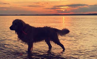 Bobby J.'s photo of camping with pets at Pointes West Army Resort near Ninety Six, SC