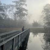 Review photo of Fontainebleau State Park Campground by Christopher T., December 25, 2021