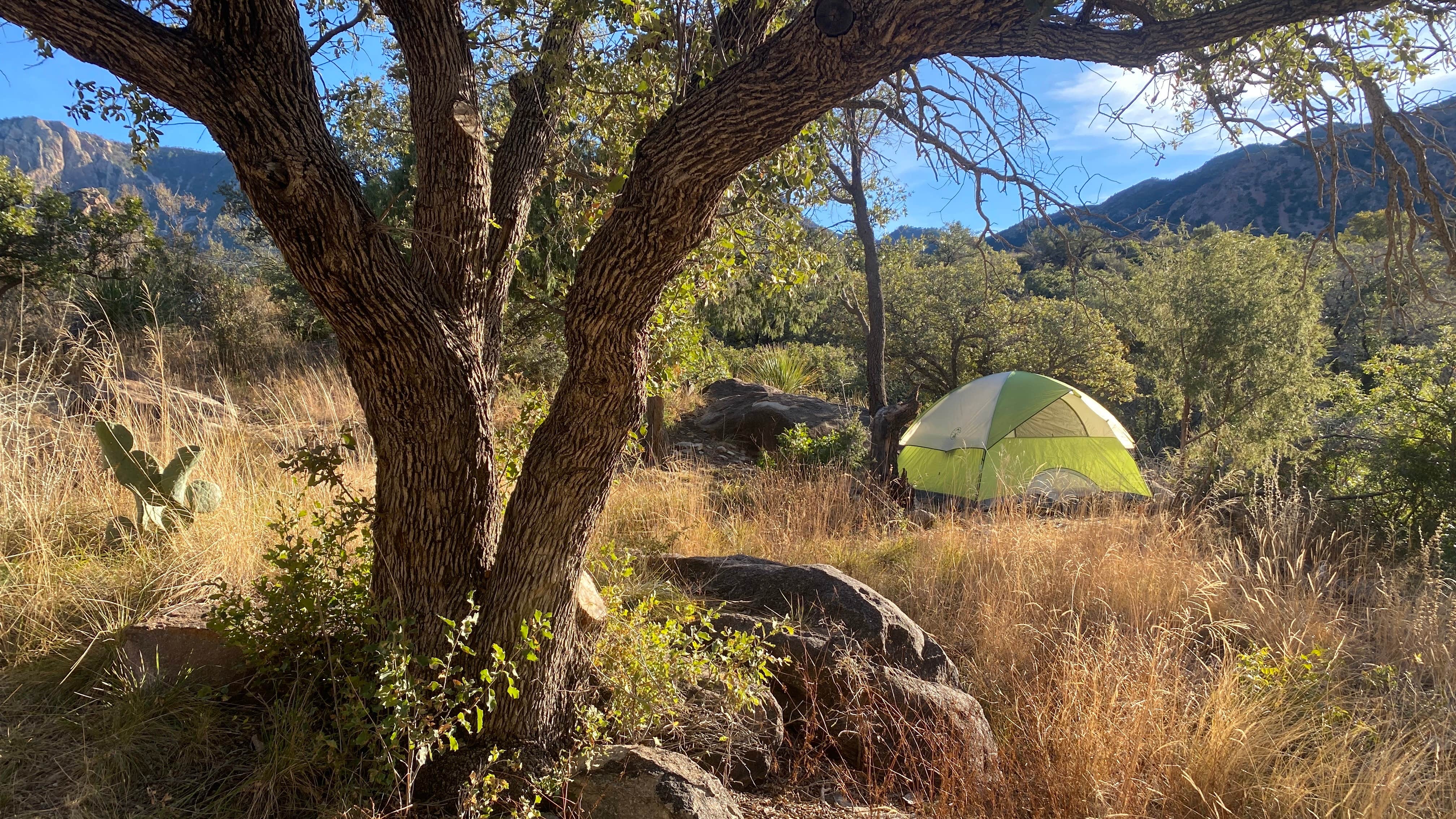 Christian D.'s photo at Chisos Basin Campground (Big Bend, Tx) — Big Bend National Park near Big Bend National Park