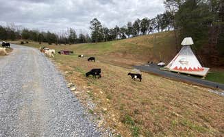 Jarrod A.'s photo at Smoky Hollow Outdoor Resort near Jefferson City, TN