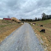 Review photo of Smoky Hollow Outdoor Resort by Jarrod A., December 25, 2021
