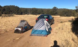 Camping near Canyon Del Apache: Torrance County Park Primitive Camping, Ponderosa, New Mexico