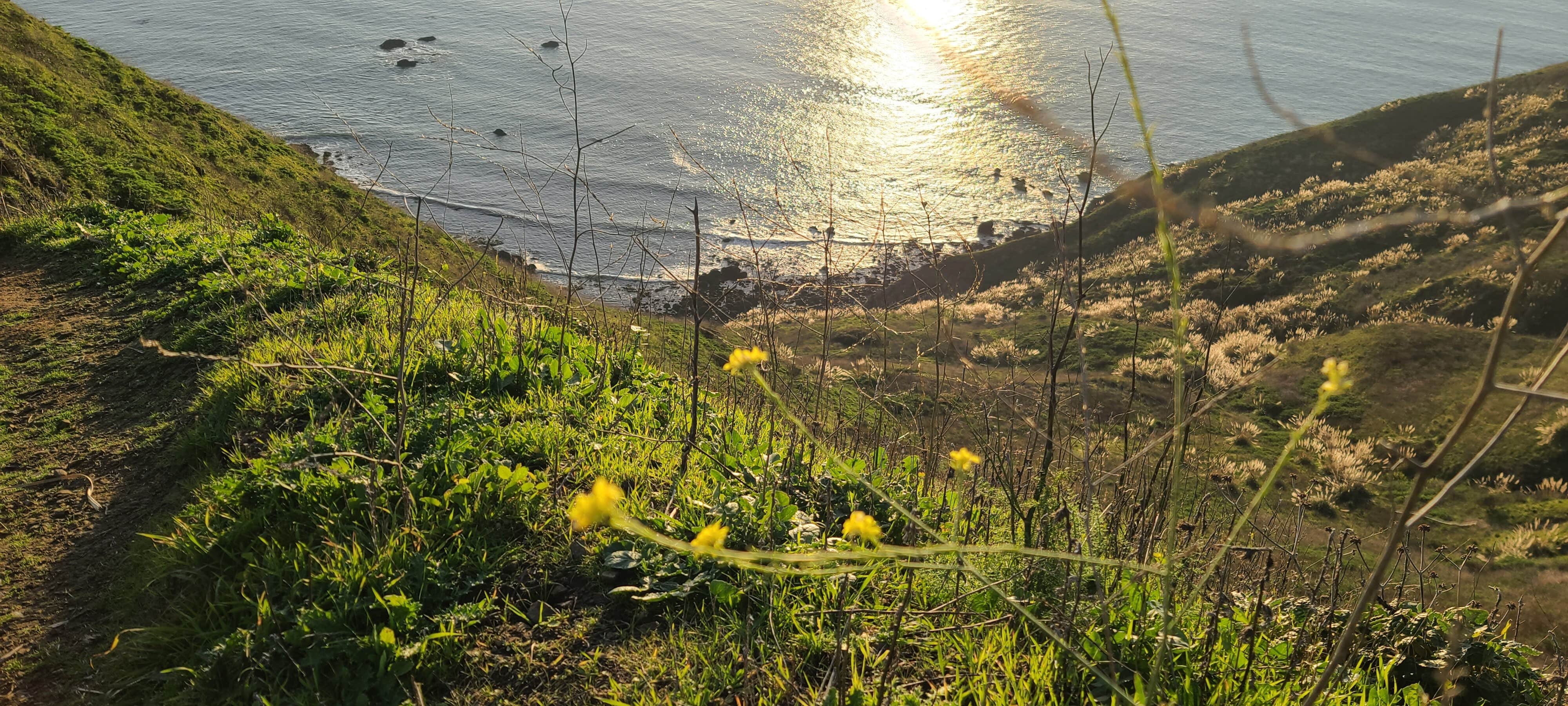 Camper-submitted photo at Harbor RV Park near Point Arena, CA