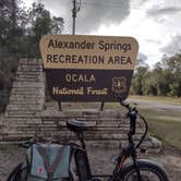 Review photo of Alexander Springs Recreation Area by Ryan S., December 25, 2021