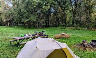 Camping near Laurel Highlands Hemp Cannabis Farm: Dravo's Landing Campground, Sutersville, Pennsylvania