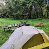 Review photo of Dravo's Landing Campground by Shari  G., December 26, 2021