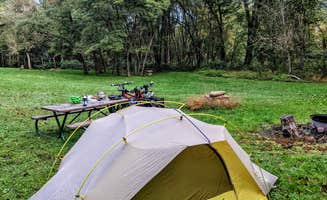 Shari G.'s photo of tent camping at Dravo's Landing Campground near Baden, PA