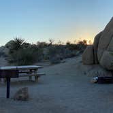 Review photo of Jumbo Rocks Campground — Joshua Tree National Park by Kobe T., December 26, 2021