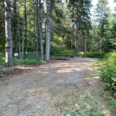 Review photo of Judge C. R. Magney State Park Campground by Lee D., December 26, 2021