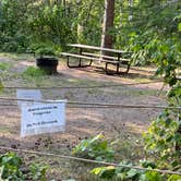 Review photo of Judge C. R. Magney State Park Campground by Lee D., December 26, 2021