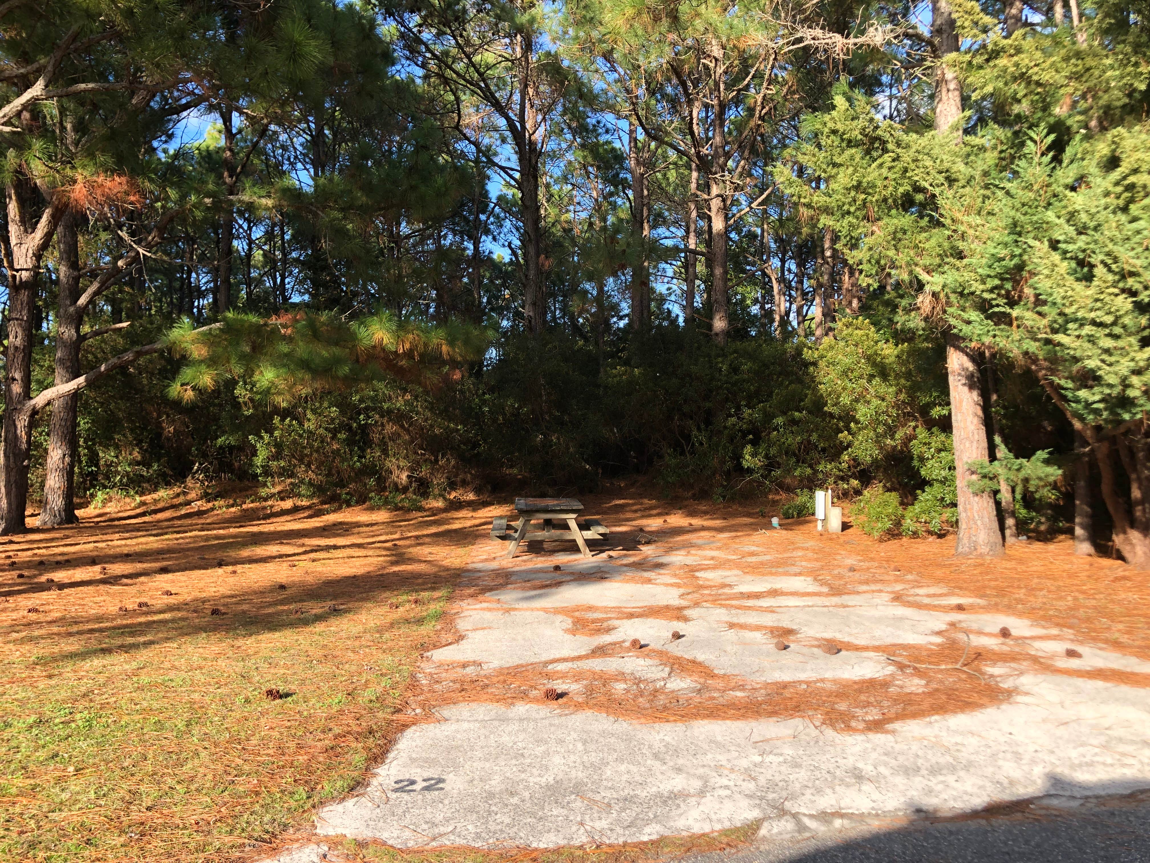 Camper-submitted photo at Ocean Waves Campground near Rodanthe, NC