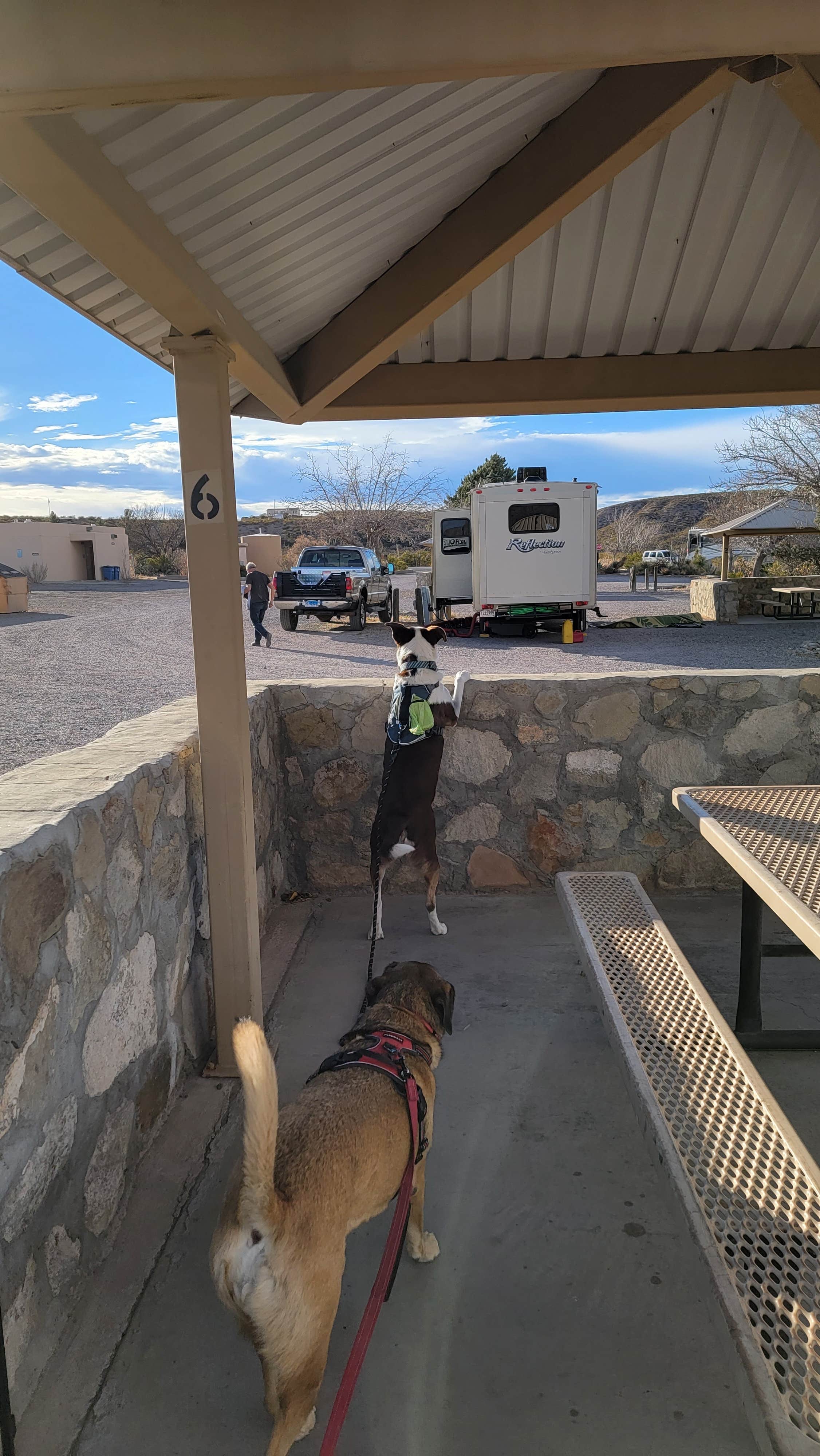 Camper-submitted photo at Palomino Campground — Caballo Lake State Park near Caballo, NM