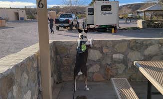 Jeffrey T.'s photo of camping with pets at Palomino Campground — Caballo Lake State Park near Hatch, NM