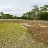 Review photo of Shell Mound Campground by christine , December 27, 2021