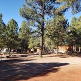 Review photo of Williams-Circle Pines KOA by Jovee S., December 27, 2021