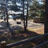 Review photo of Williams-Circle Pines KOA by Jovee S., December 27, 2021