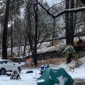 Review photo of Manzanita Campground by Bria O., December 27, 2021