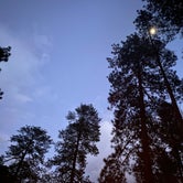 Review photo of Coconino National Forest Manzanita Campground by Bria O., December 27, 2021