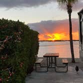 Review photo of Boyd's Key West Campground by Yael E., December 27, 2021