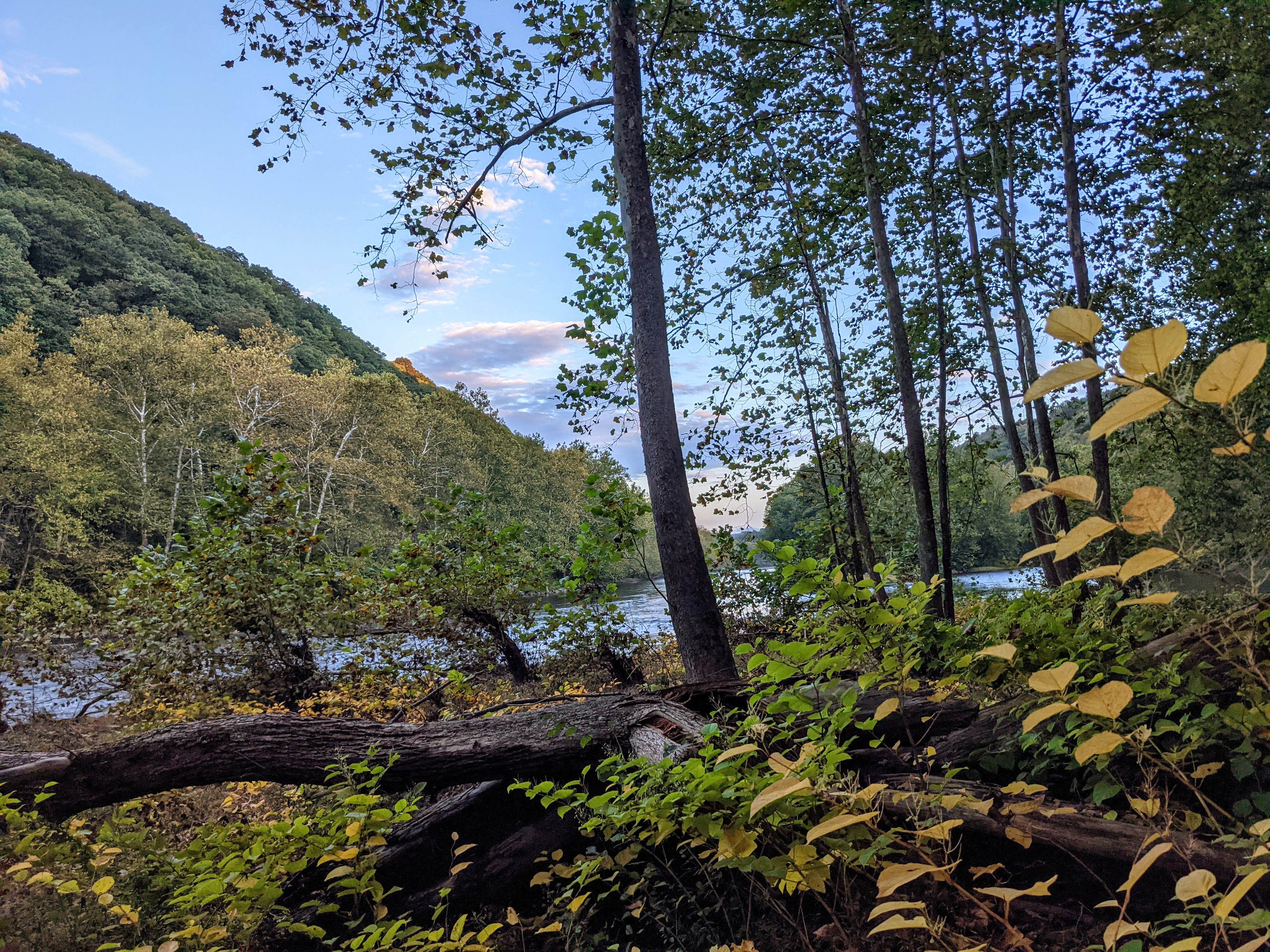 Camper submitted image from Roundbottom Hiker-Biker Campground (GAP Trail) - 1