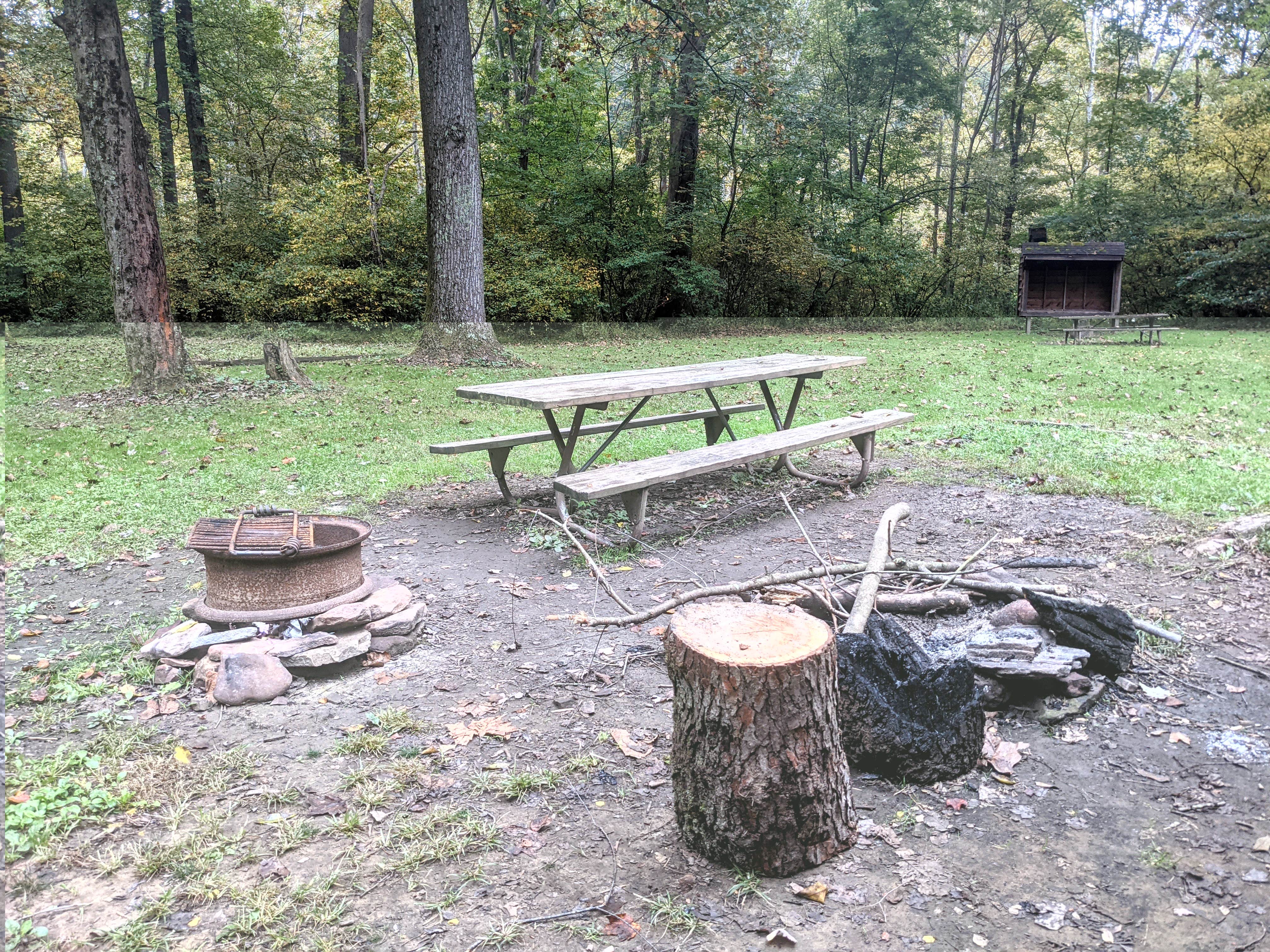 Camper submitted image from Roundbottom Hiker-Biker Campground (GAP Trail) - 4