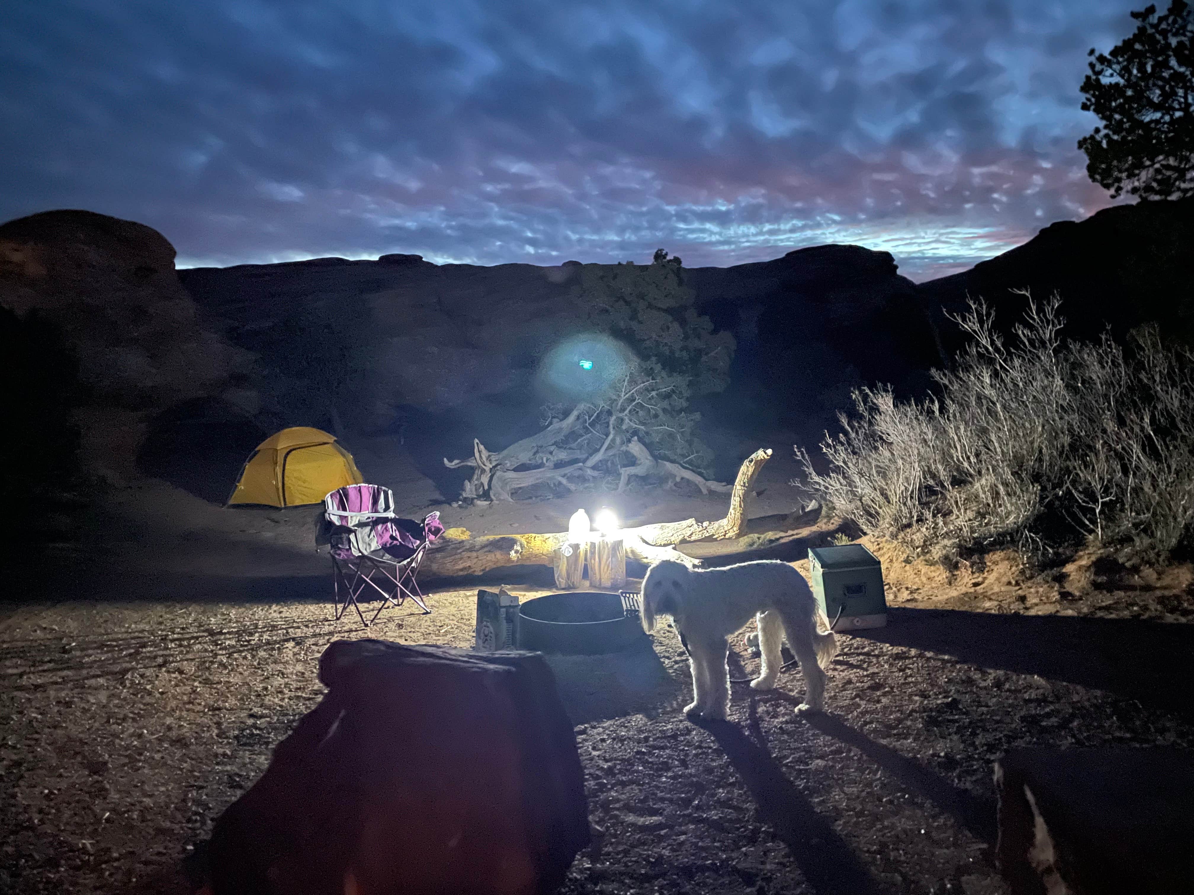 Vanessa C.'s photo at Devils Garden Campground — Arches National Park near Cisco, UT