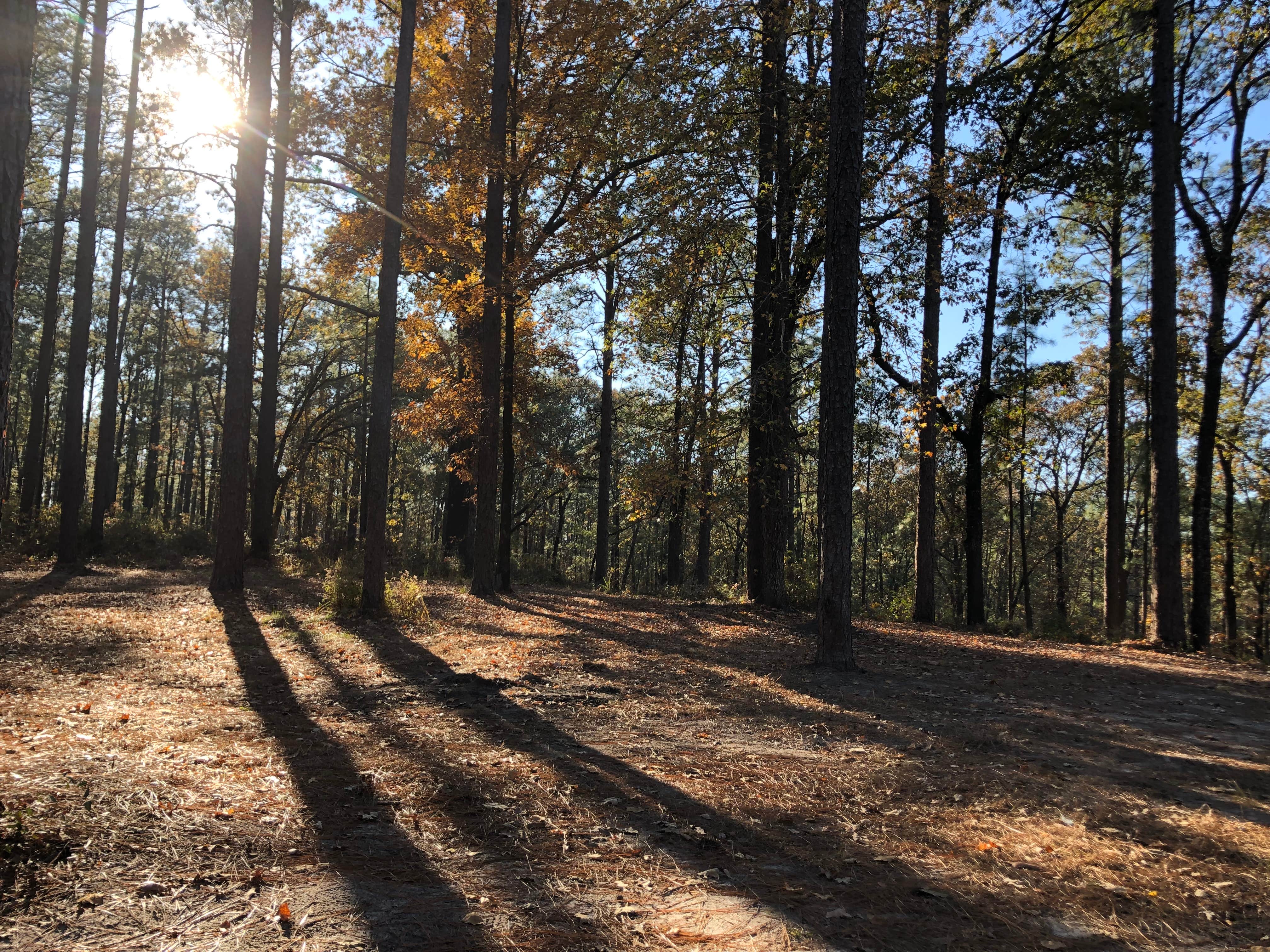 Camper-submitted photo at Corral Camp near Mora, LA