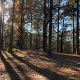 Review photo of Corral Camp by N I., December 27, 2021