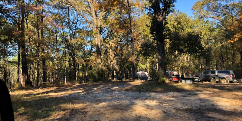 Camper submitted image from Corral Camp