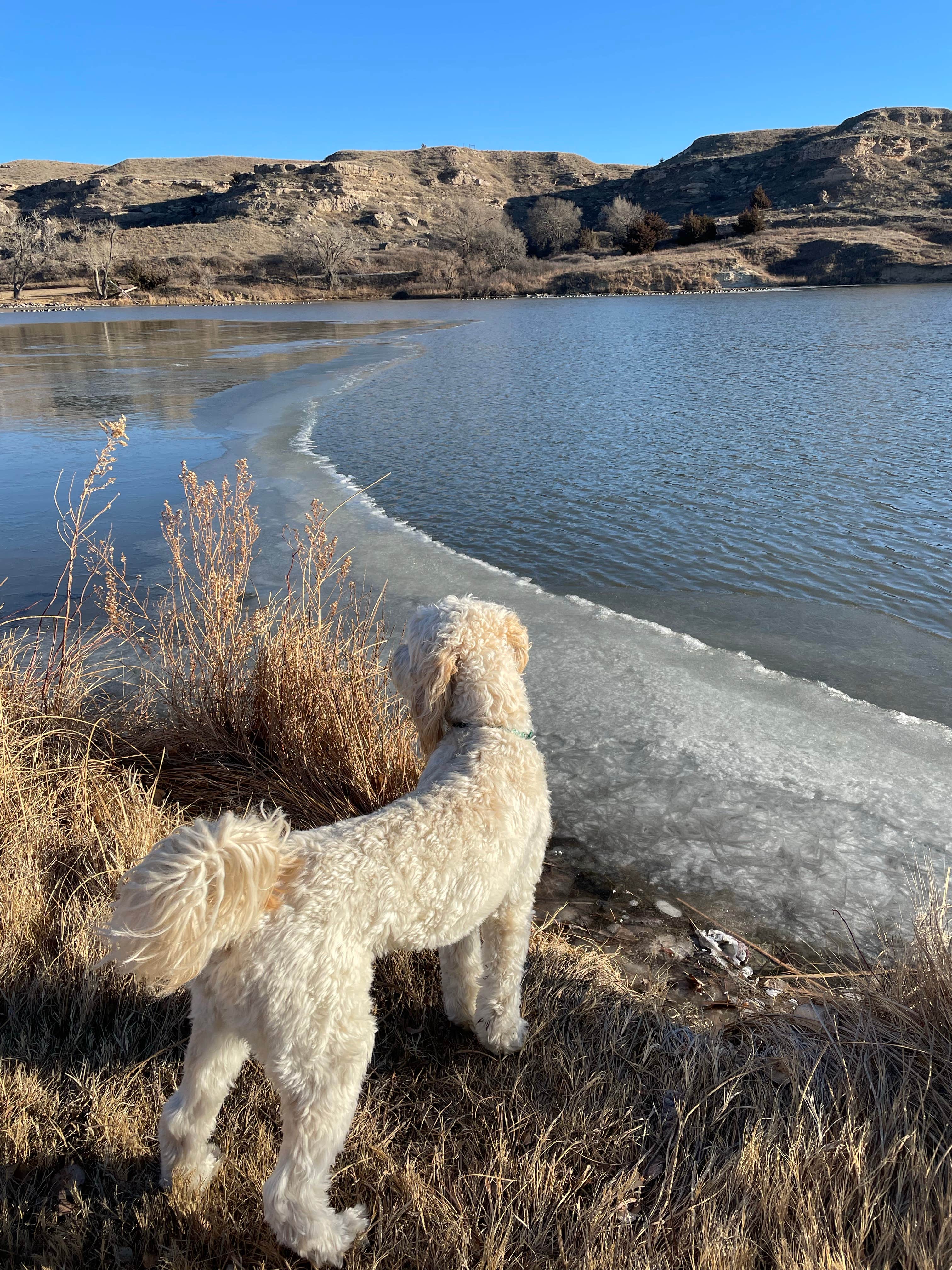 Vanessa C.'s photo of camping with pets at Elm Grove — Historic Lake Scott State Park near Oakley, KS