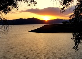 Chamise - Tuttletown Area - New Melones Lake