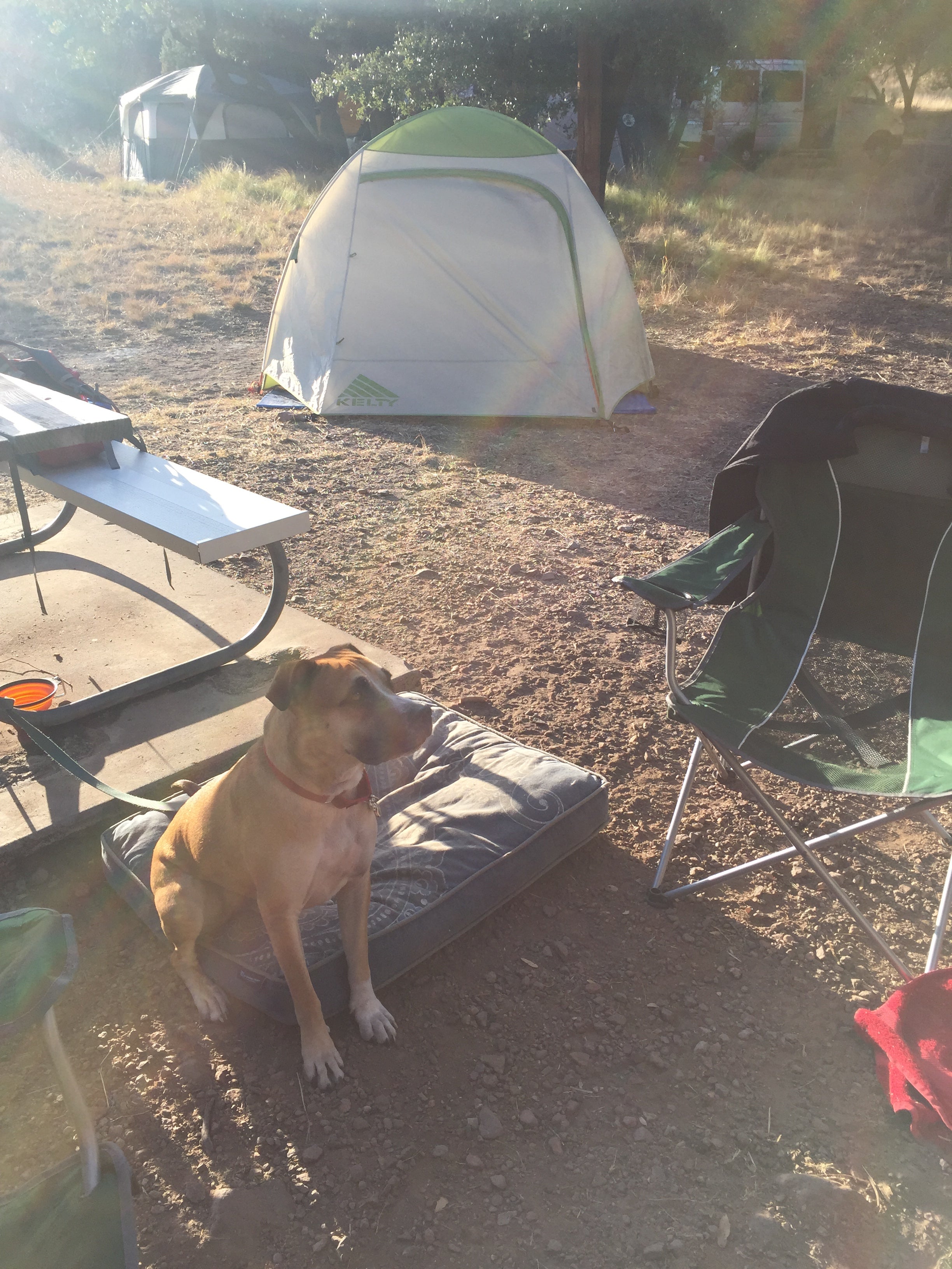 Hanging out at the campsite after a day of hiking & exploring. 